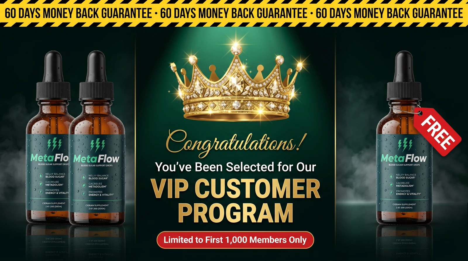MetaFlow  60 Day Money Back Guarantee and Risk Free Purchase